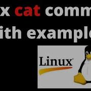 4 Учебники Linux команда Cat в Linux с примерами