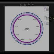 Tutorial On Genome Comparison Using BRIG BLAST Ring Image Generator