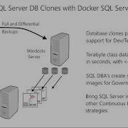 Windocks Docker Windows SQL Server Containers And Database Cloning