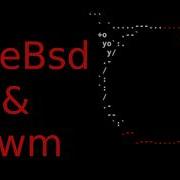 FreeBSD с DWM и ST
