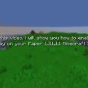 ANTI XRAY On Your 1 21 11 PAPER MINECRAFT SERVER NO PLUGINS