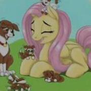 MLP Fluttershy FireFlies