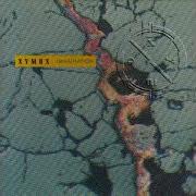 XYMOX IMAGINATION DANCE MIX