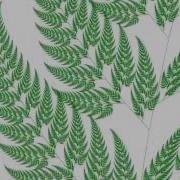 Barnsley Fern Infinite Zoom Self Similar Fractal Fern