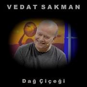 Dağ Çiçeği