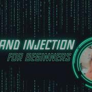 Command Injection Shell Injection Beginner S Guide To Web Security 8