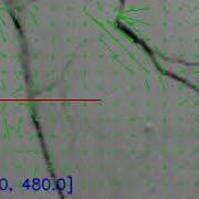 Video Motion Estimation Using Phase Correlation For Crack Detection In Surfaces