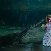 The Science Of Animal Care The Swamp Forest