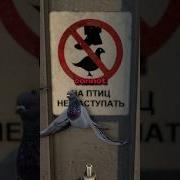 BUG ON THE TRAIN MAP Cs2 Csgo Valve
