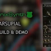 SetonixSynth Marsupial VCF DIY Module Build Demo Eurorack Modular Synth DIY 6