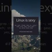 Developer Devmemes Memes Viral Funny Devopsengineer Debuggingmemes Techlife