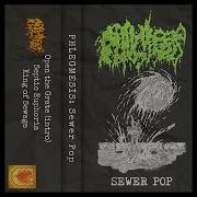 Phlegmesis Sewer Pop Full Demo 2022