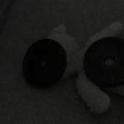 Bear Vs Sam A Short Film
