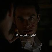 Maroon 5 Animals Türkçe Çeviri Kai Parker