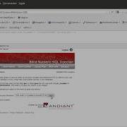 10 Blind Numeric SQL Injection