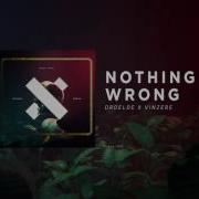 DROELOE Nothing Wrong Official Audio