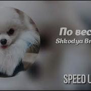 JAKONE SCIRENA По весне Ай катит чёрный кадиллак Speed Up