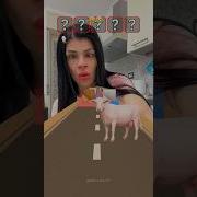 Tutorialfilter