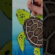 Sea Turtle Painting For Beginners Easypainting Tutorials Tipsandtricks Howto