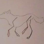 Wolf Run Animation Test