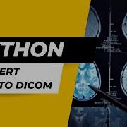 How To Convert A Nifti File Into Dicom Series Using Python