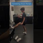 Hamstring Strain Rehab Isometric Contractions In End Range