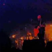 Fink Live Bloom Perfect Darkness