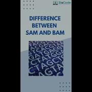 Difference Between SAM And BAM