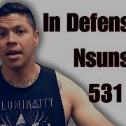 Nsuns 531 Guide Critique
