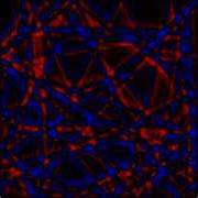 2D Wave Equation In A Square Cavity