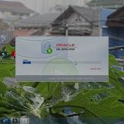 SQL Developer Unable To Launch The Java Virtual Machine Located At Path