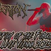 Suffocation Effigy Of The Forgotten Live Vienna 2025 4K