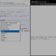 JavaScript User Input With Prompts