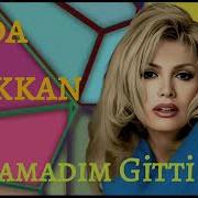 Ajda Pekkan Anlamadım Gitti