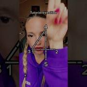 Tutorial Transition