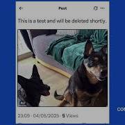 Social Media Accessibility Screen Reader Alt Text Demo
