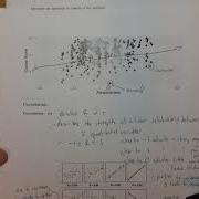 STAT 113 Extrapolation In Regression