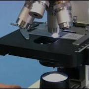 OMAX 40X 2000X Biological Compound Microscope With Mechanical Stage And LED Light