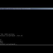 Bash Scripting Part V With SSH Brute Force Script In Bash