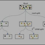 Decision Trees A One Minute Introduction