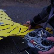 Fms Fighting Falcon Problem