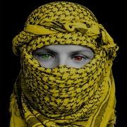 Rojava Benim