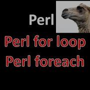 Perl For Loops Perl ForEach Loop Perl Scripting Perl Programming Perl Tutorial