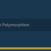 23 Python Basic Concepts Python Polymorphism In Malayalam മലയ ള