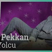 Ajda Pekkan Son Yolcu Official Audio