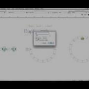 Duplicate Array