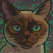 Psychedelic Minimal Techno 113 Minutes Of Pure Coding Flow