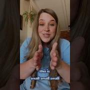 The OPPOSITE Song Learn Opposites For Preschool Kids Preschoollearning