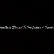 Deadrose Slowed To Perfection ReverbV1 0
