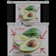 Doceri Tutorial